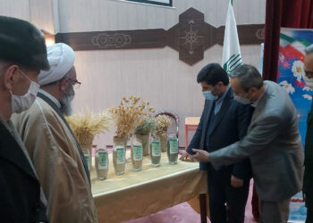 رونمایی از هفت رقم زراعی جدید در موسسه تحقیقات دیم کشور