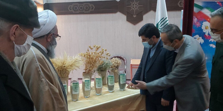 رونمایی از هفت رقم زراعی جدید در موسسه تحقیقات دیم کشور