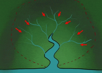 حوضه‌های آبریز؛ ستون فقرات توسعه پایدار و سرمایه‌گذاری در ایران