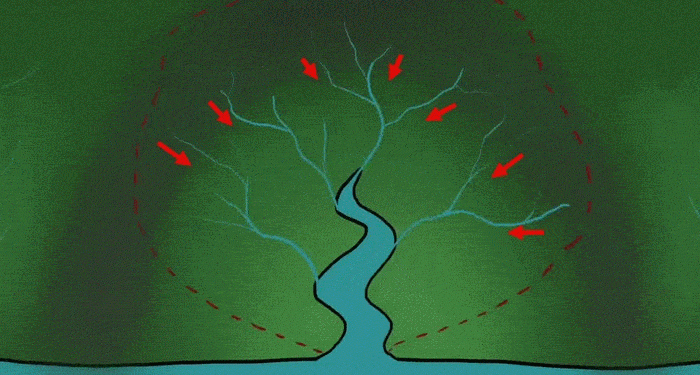 حوضههای آبریز؛ ستون فقرات توسعه پایدار و سرمایهگذاری در ایران