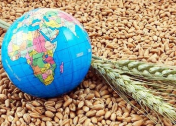 گرسنگی جهانی؛ ابعاد پنهان جنگ تحمیلی آمریکا علیه ایران + اینفوگرافیک