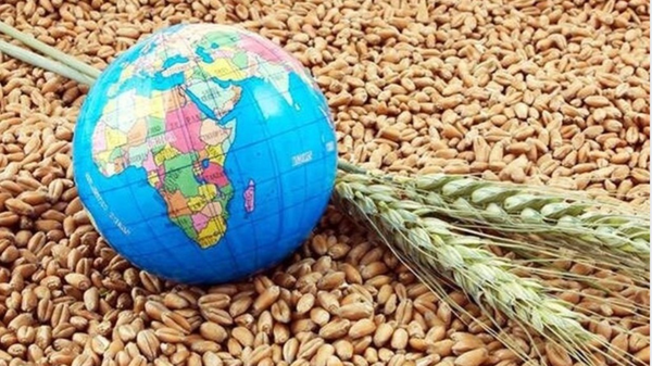 گرسنگی جهانی؛ ابعاد پنهان جنگ تحمیلی آمریکا علیه ایران + اینفوگرافیک